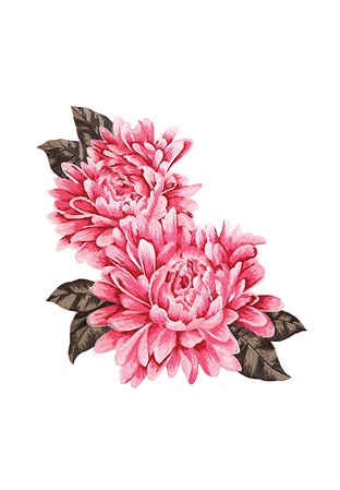 Chrisanne Clover Chrissy Embroidered Flower Motif